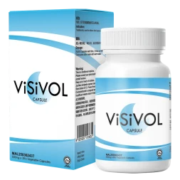 Visivol